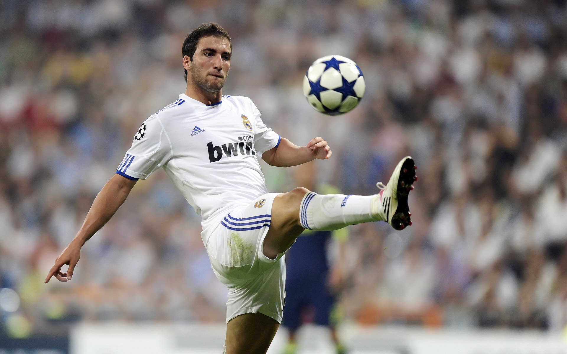 世界杯赛事营销案例成为体育管理课程教材,世界杯营销战开打