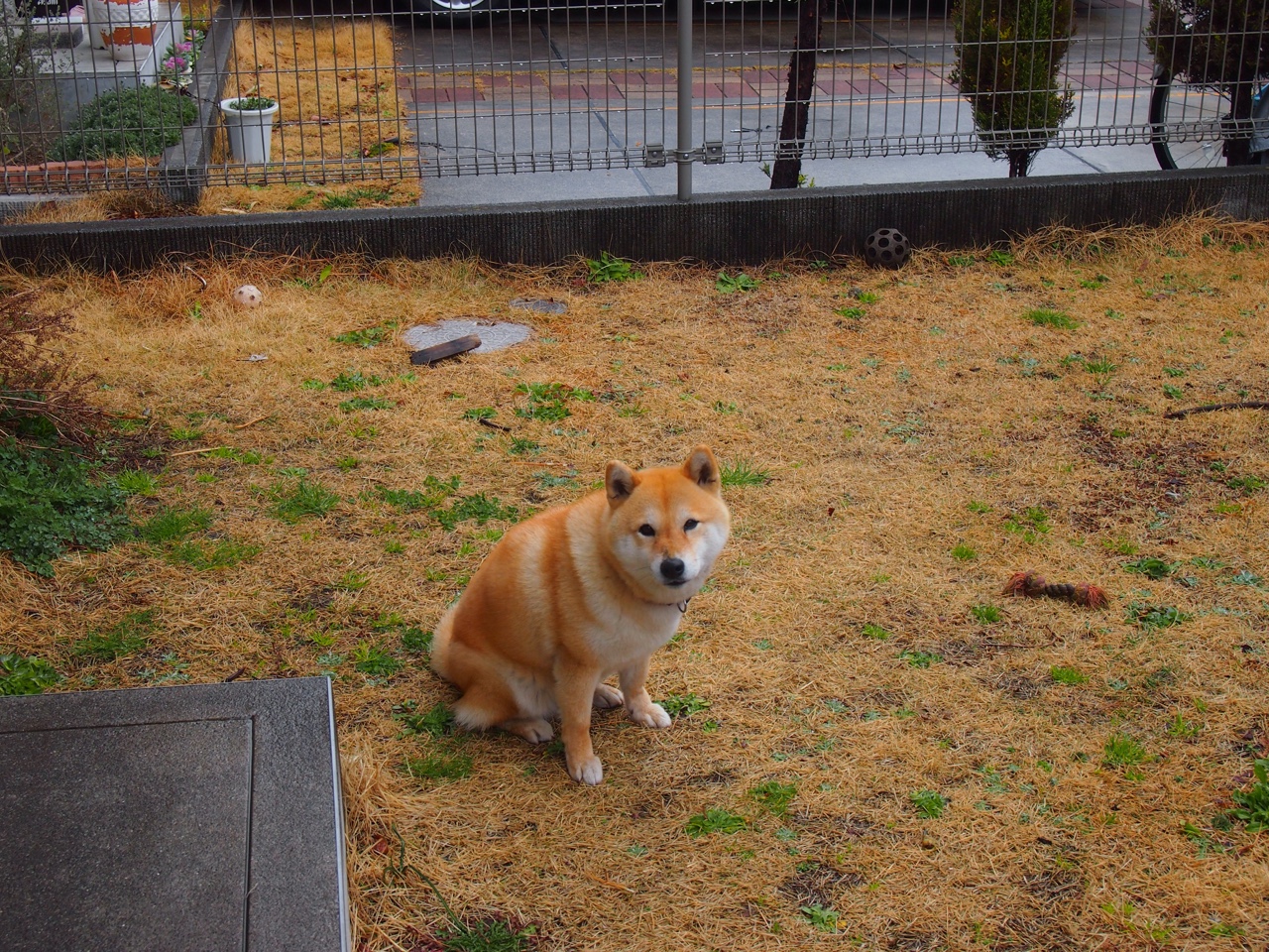 九游体育平台官网-NBA赛季投篮效率数据分析，nba投篮比赛