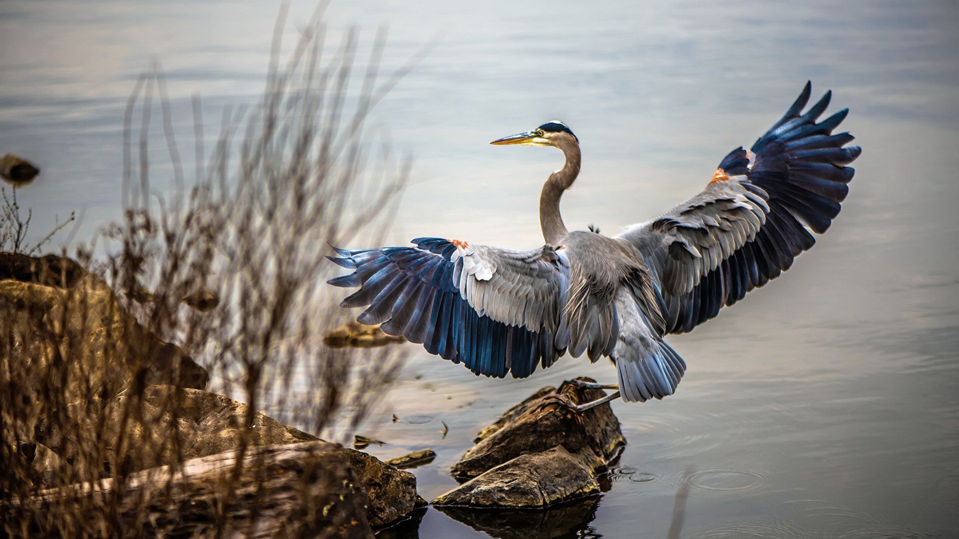 意甲VAR语义纠偏机制在争议判罚中的应用探讨